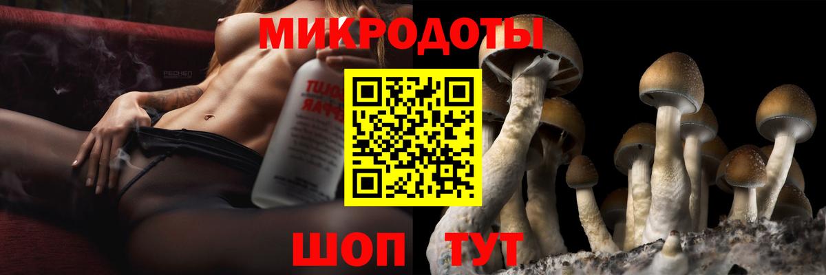 Галлюциногенные грибы Cubensis  Псилоцибиновые грибы Psilocybine cubensis  Зерноград  Вход с VPN 